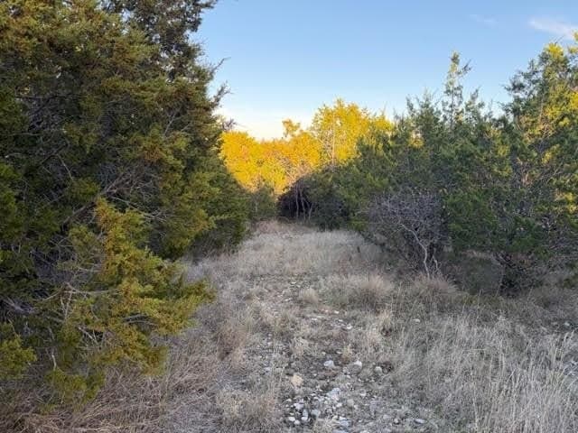 0.38 acres in Palo Pinto County - photo 5