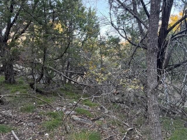 0.38 acres in Palo Pinto County - photo 8