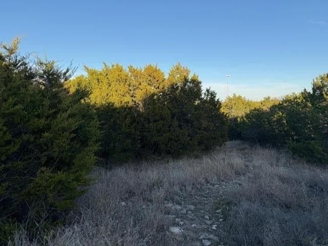 0.38 acres in Palo Pinto County - photo 6