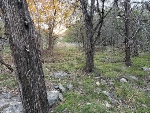 0.38 acres in Palo Pinto County - photo 2