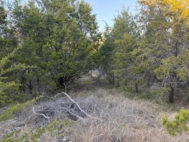 0.38 acres in Palo Pinto County - photo 4