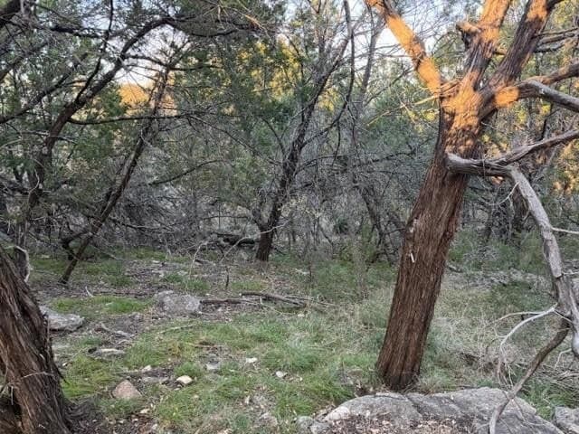 0.38 acres in Palo Pinto County - photo 3