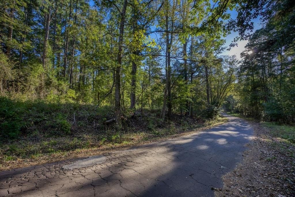 21.87 acres in ANDERSON County - photo 12