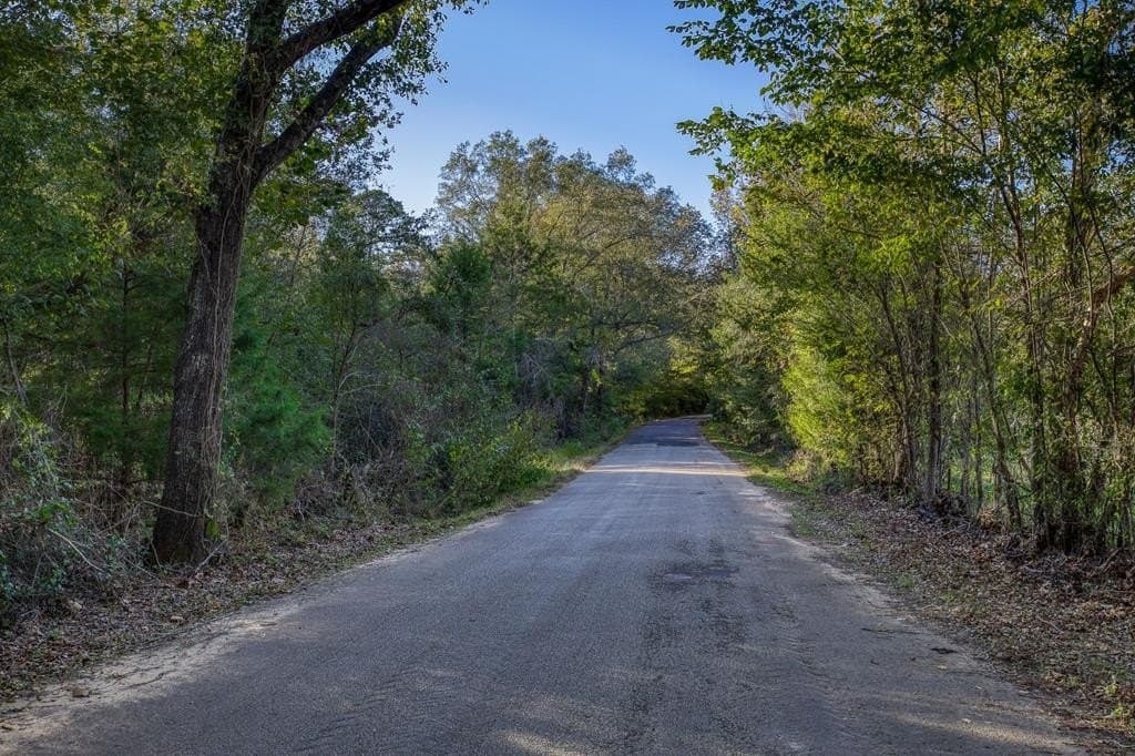 21.87 acres in ANDERSON County - photo 16