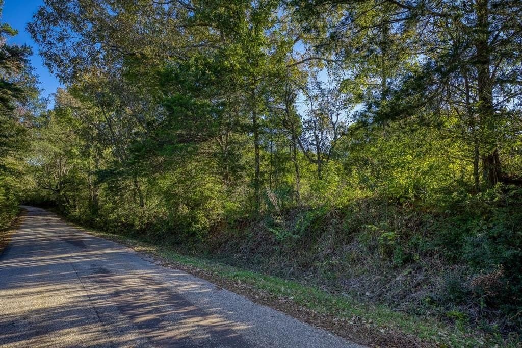 21.87 acres in ANDERSON County - photo 15