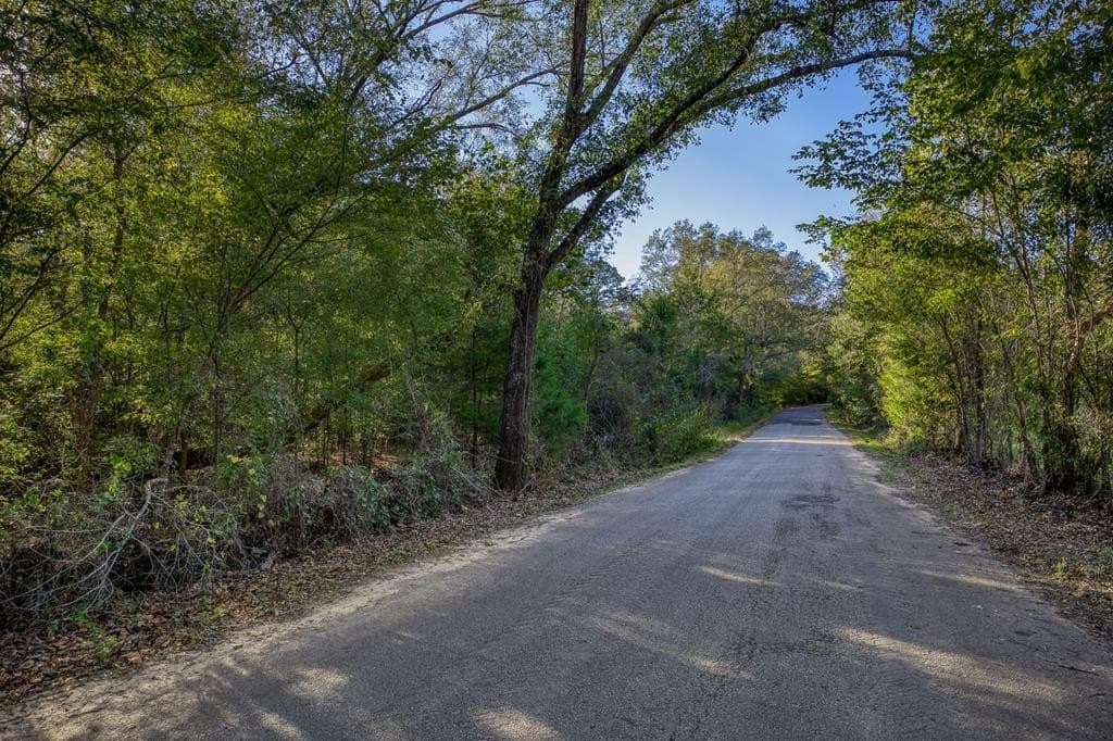 21.87 acres in ANDERSON County - photo 14