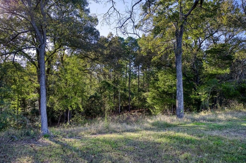 21.87 acres in ANDERSON County - photo 11
