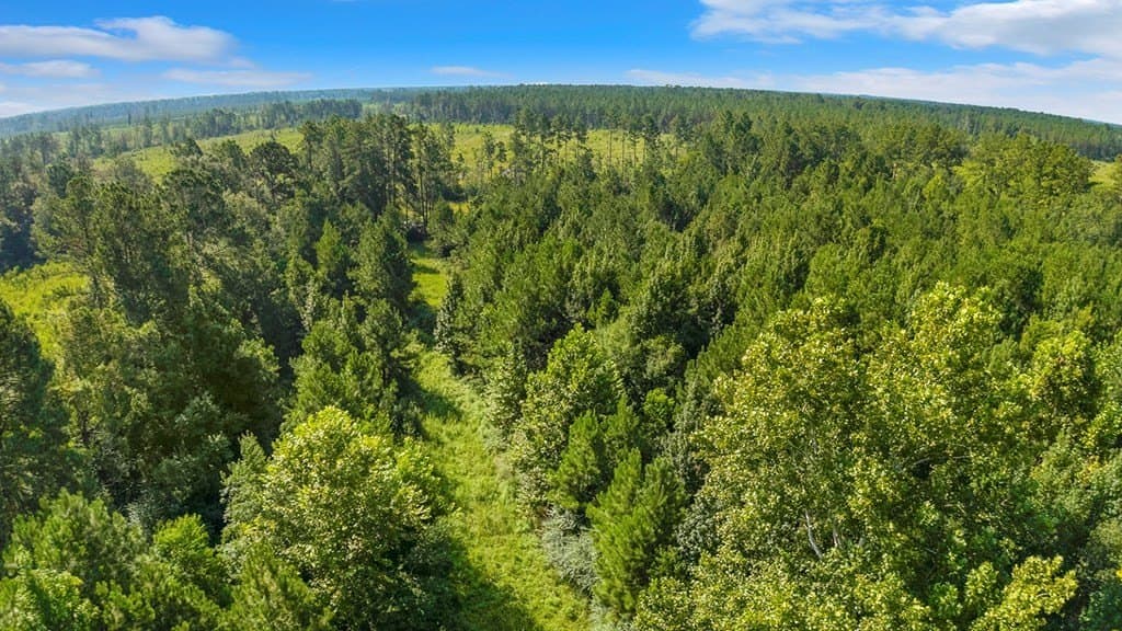 10 acres in Texas County - photo 2