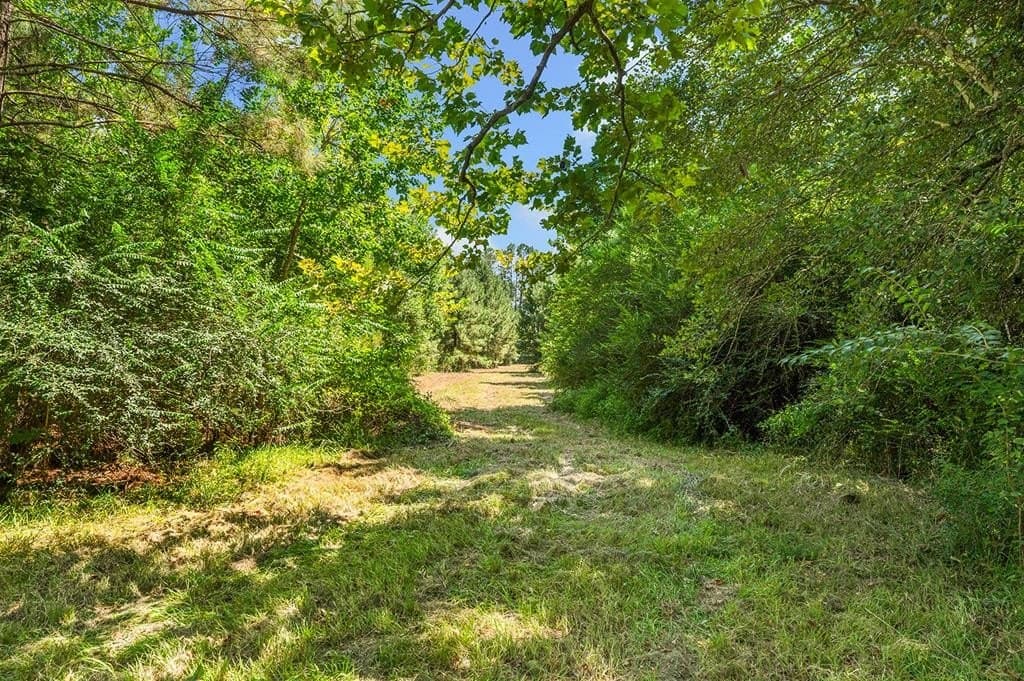 10 acres in Texas County - photo 15