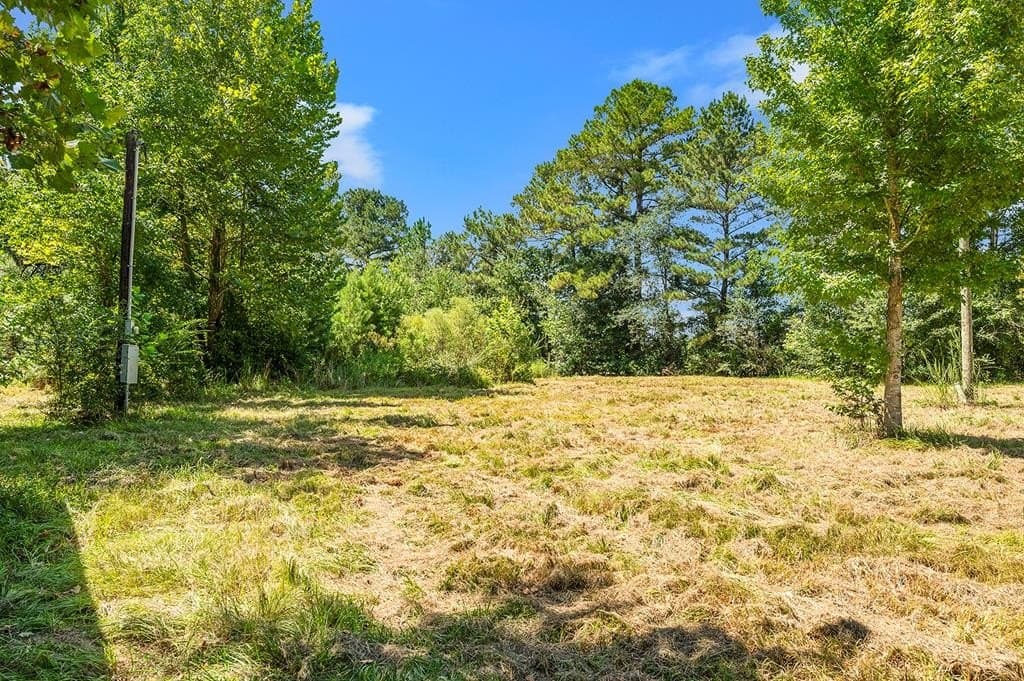 10 acres in Texas County - photo 16