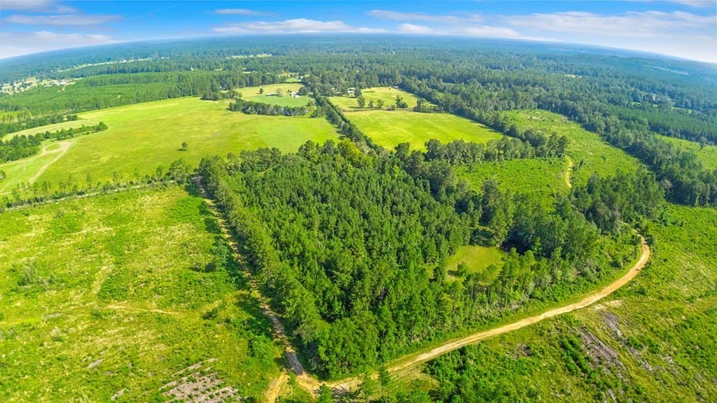 10 acres in Texas County - photo 6