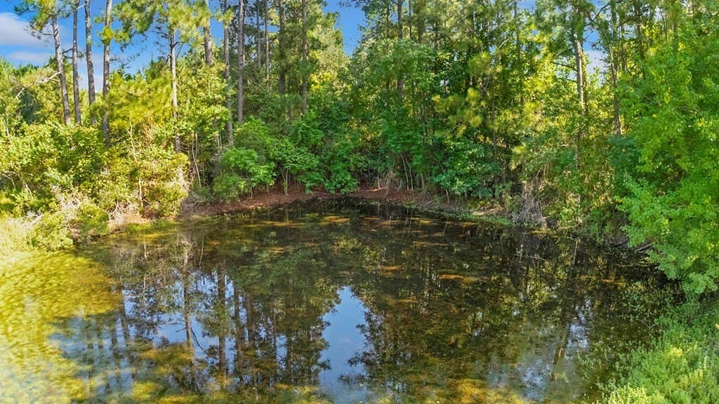 10 acres in Texas County - photo 4