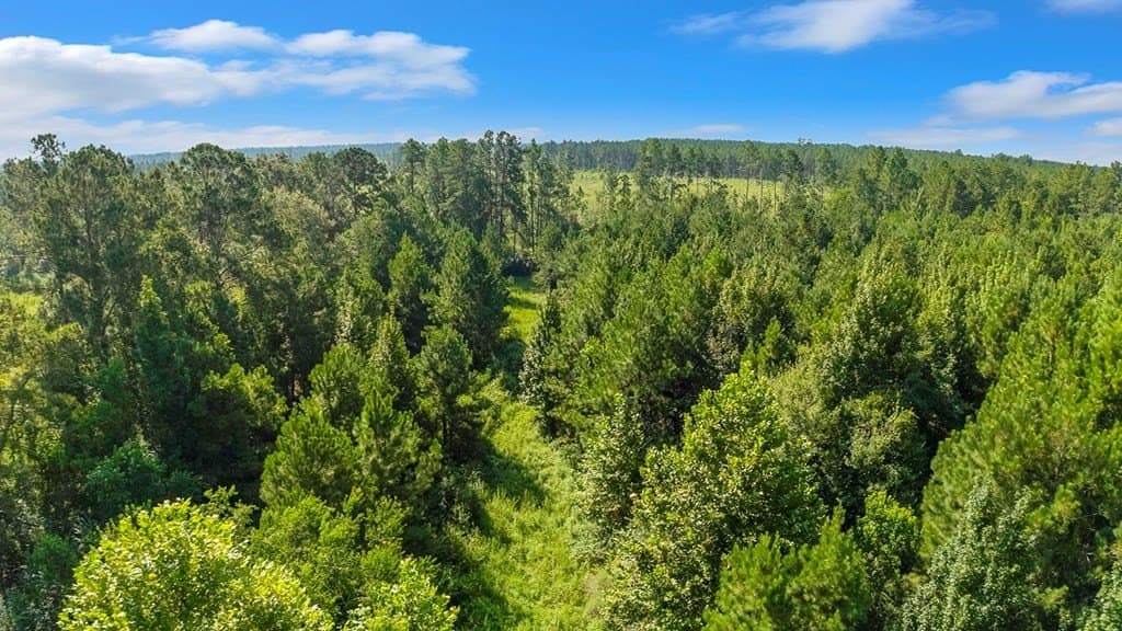 10 acres in Texas County - photo 3