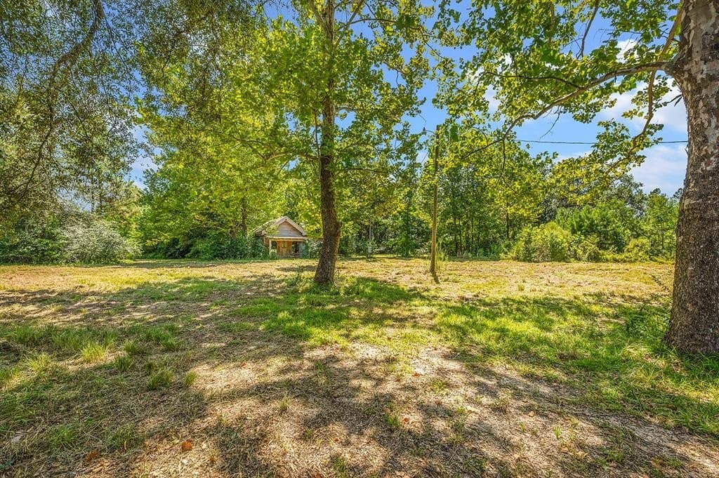 10 acres in Texas County - photo 14