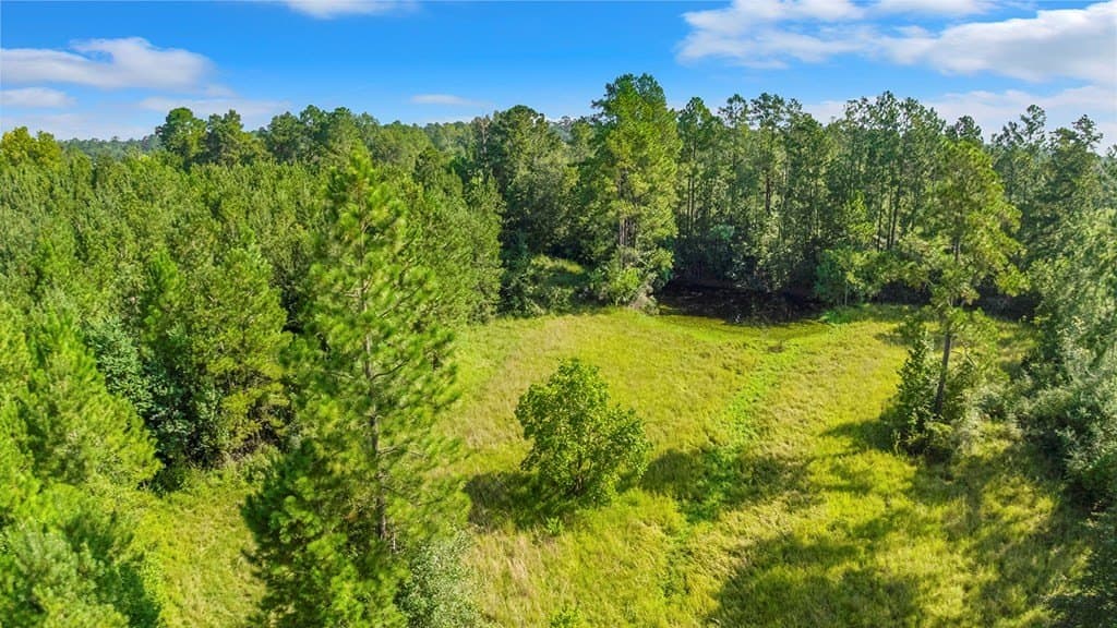 10 acres in Texas County - photo 5