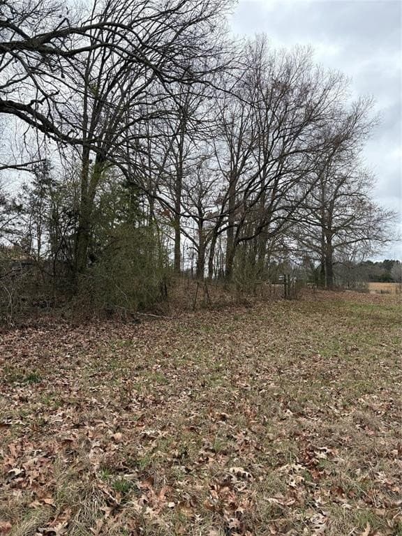 16.59 acres in Morris County - photo 33