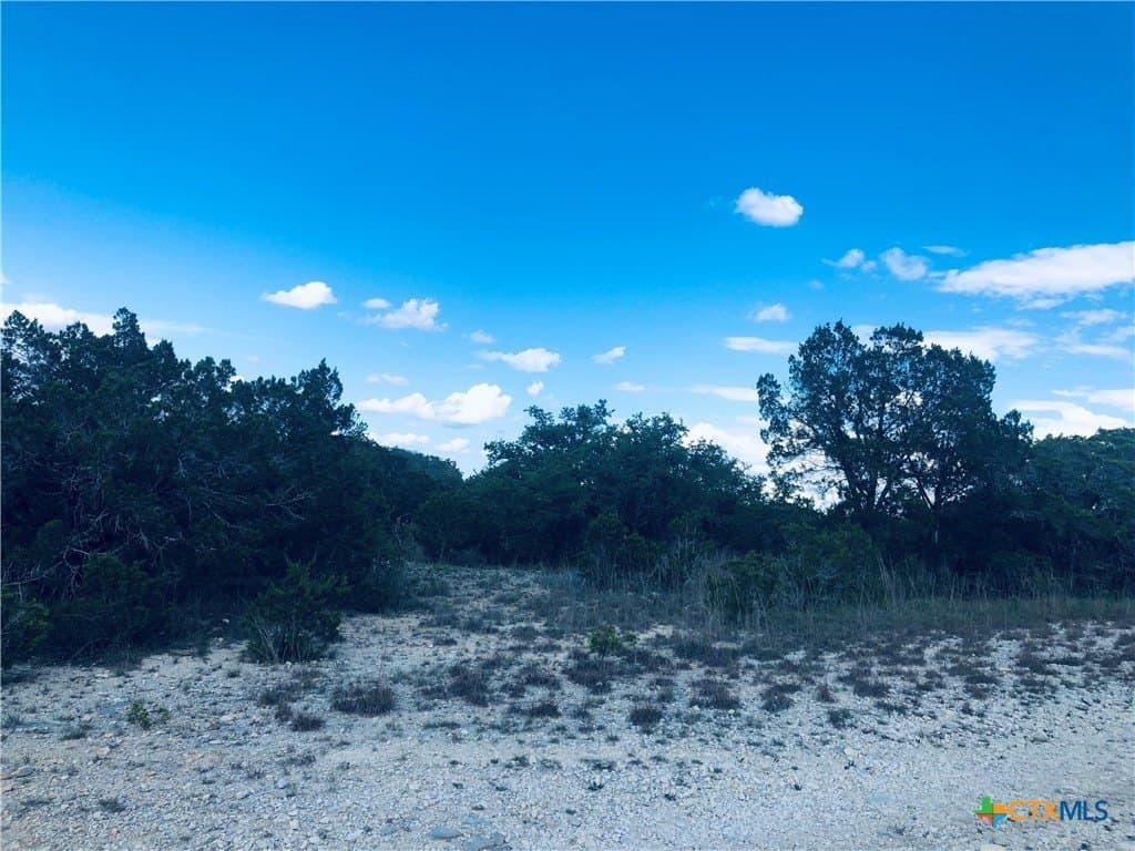 0.24 acres in Blanco County - photo 10