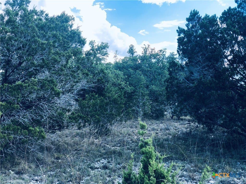 0.24 acres in Blanco County - photo 14
