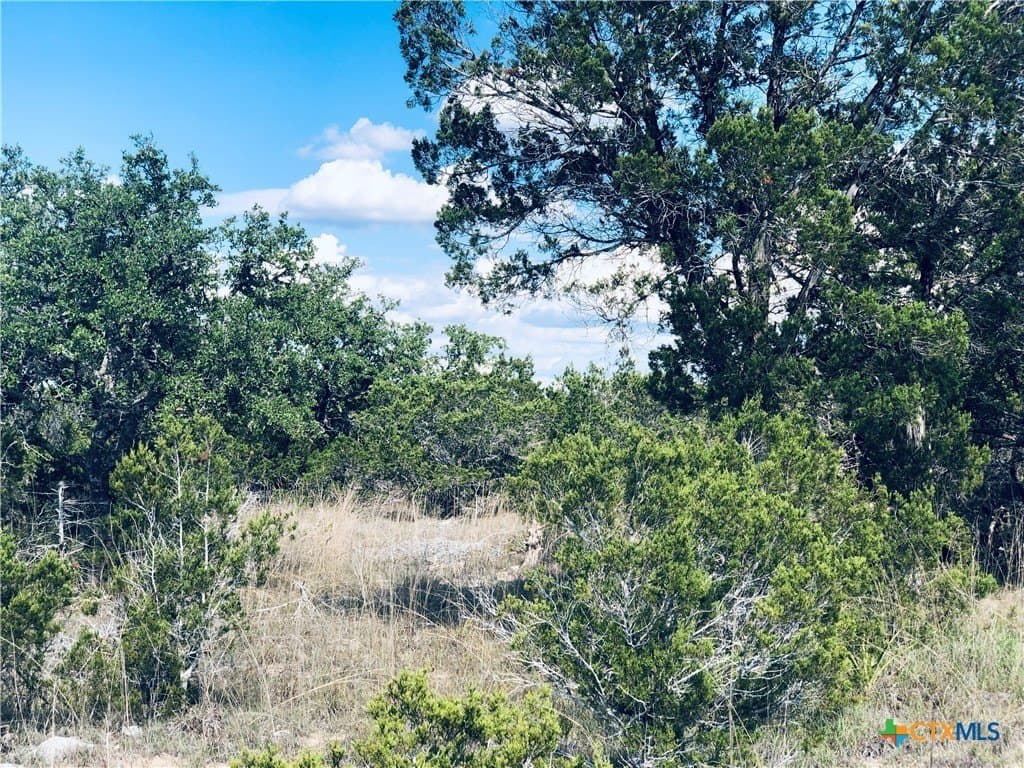 0.24 acres in Blanco County - photo 2