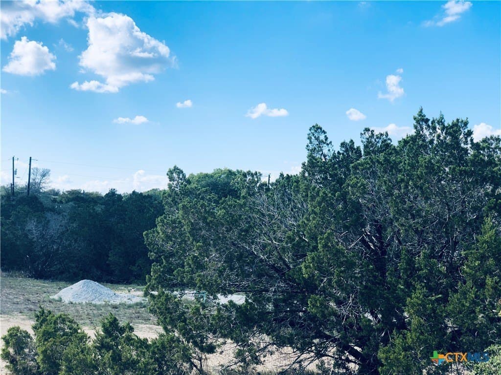 0.24 acres in Blanco County - photo 15