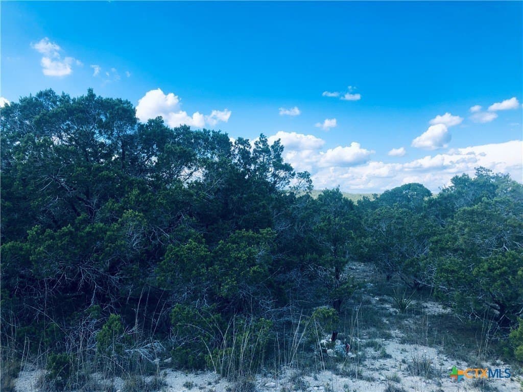 0.24 acres in Blanco County - photo 11