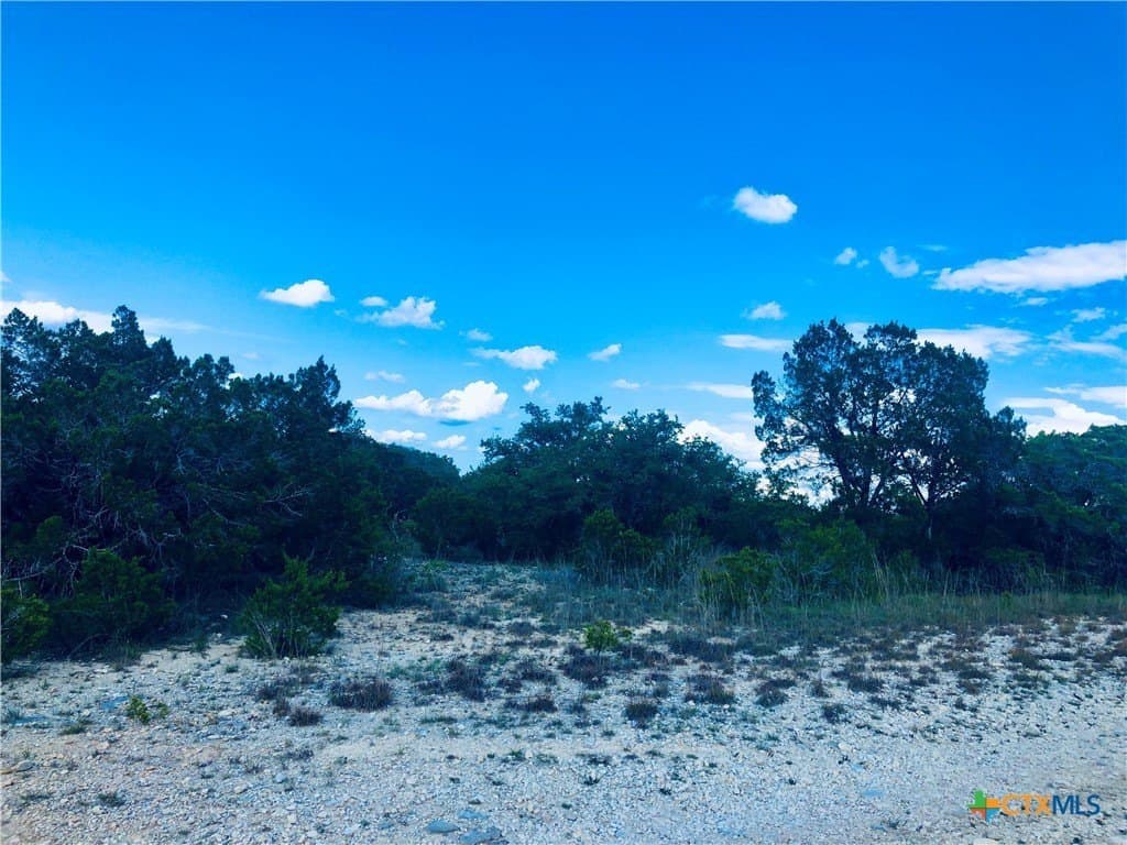 0.24 acres in Blanco County - photo 22