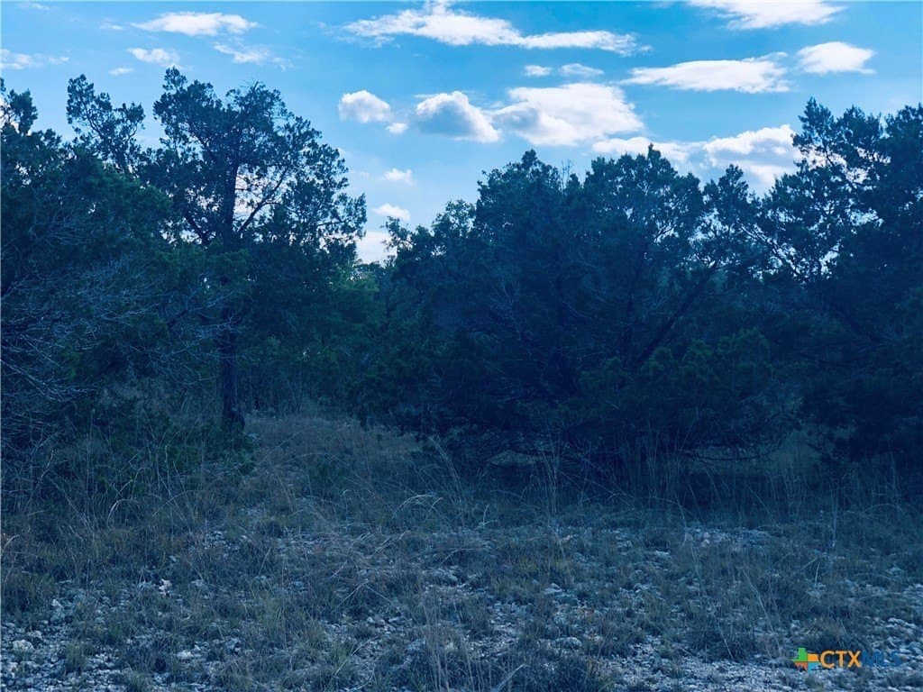 0.24 acres in Blanco County - photo 13