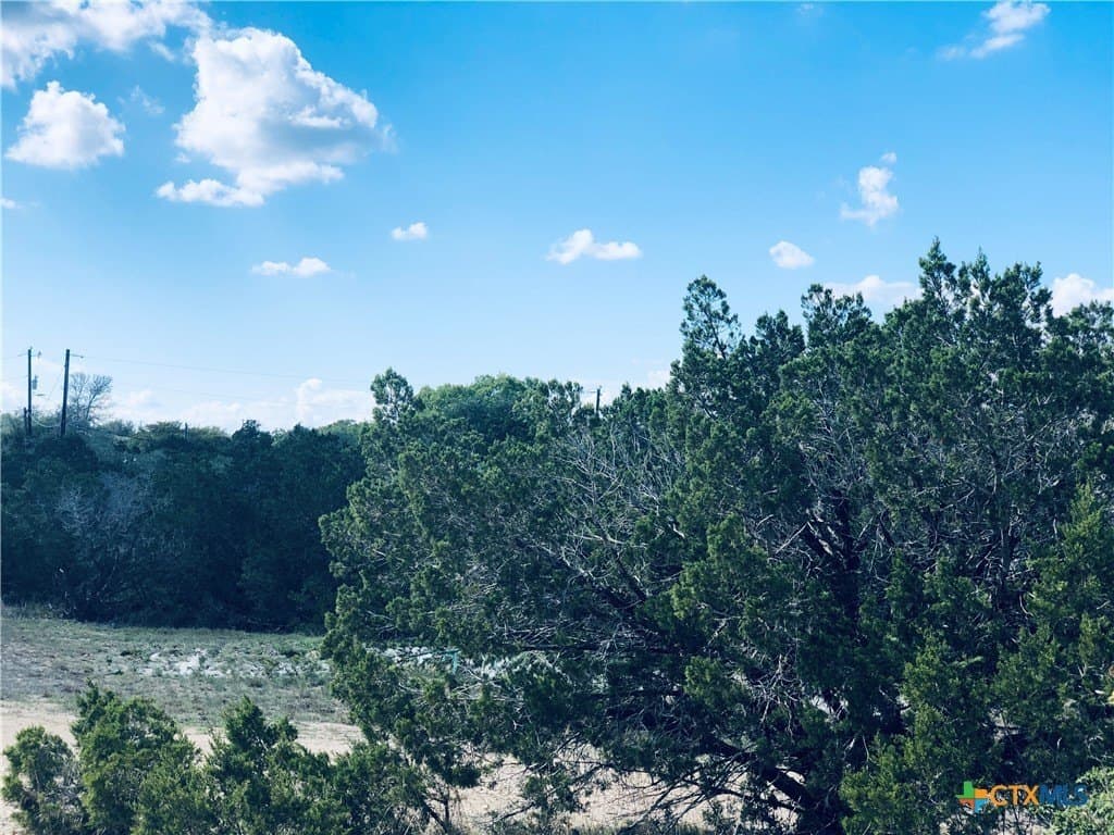 0.24 acres in Blanco County - photo 18
