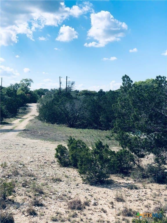 0.24 acres in Blanco County - photo 19