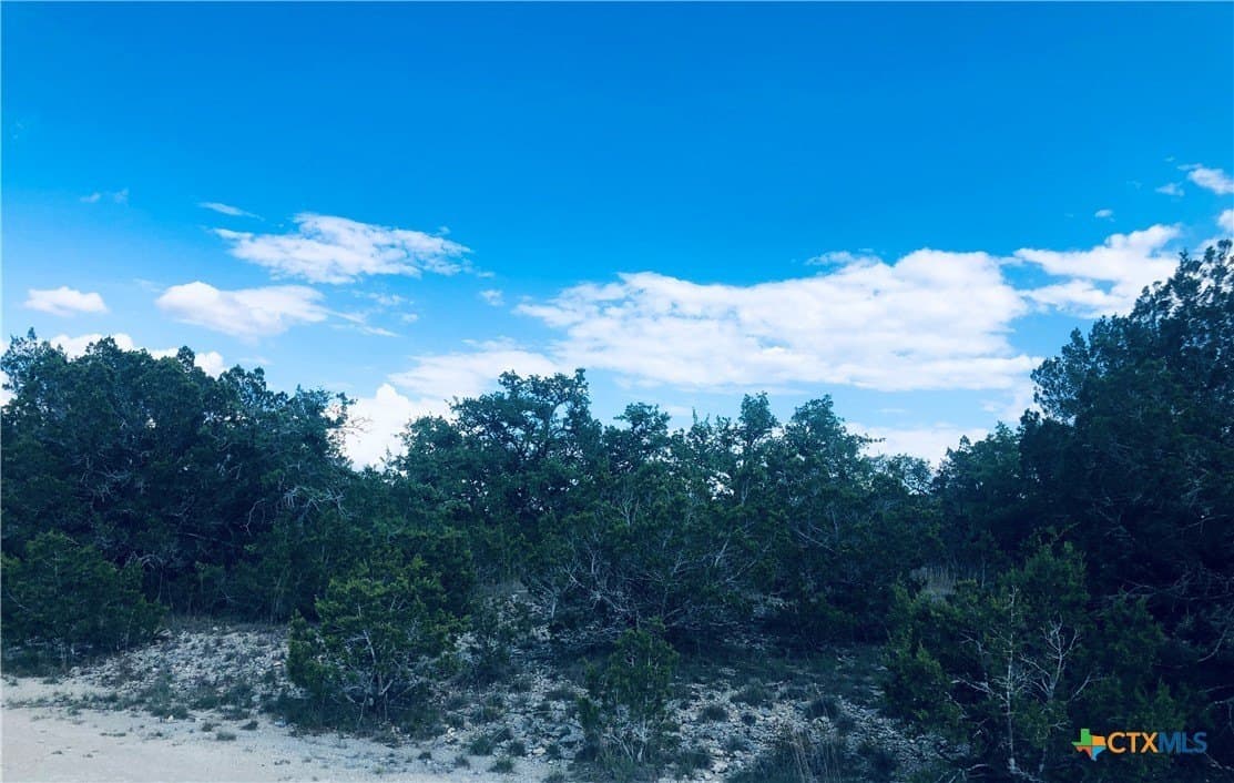0.24 acres in Blanco County - photo 4