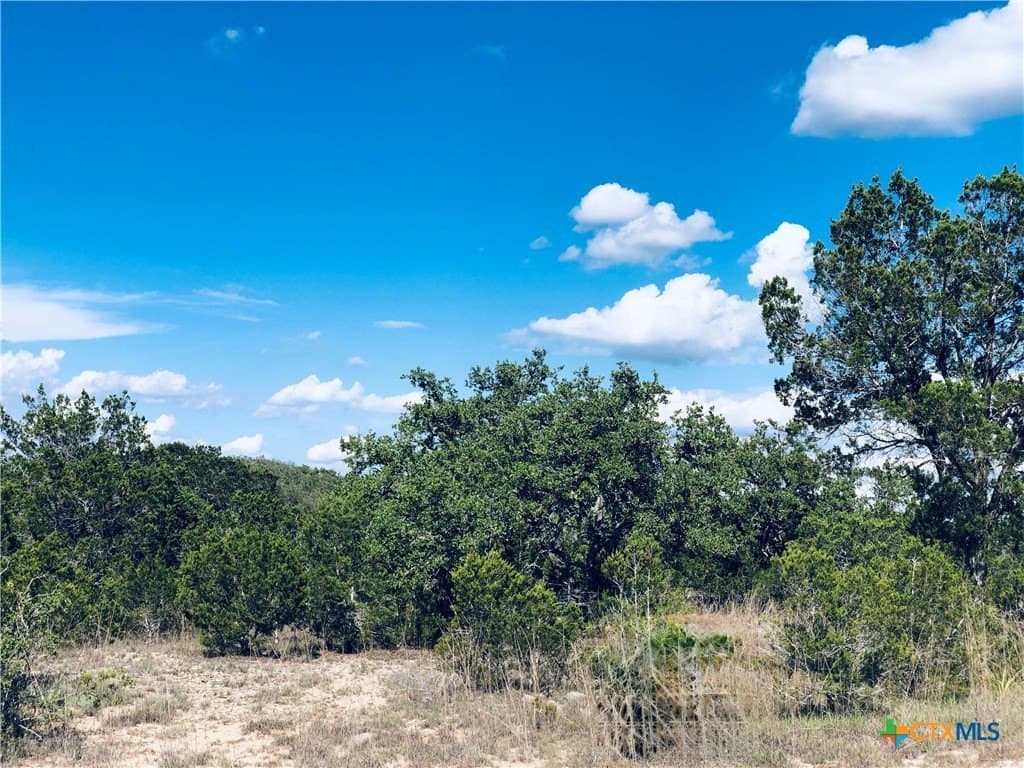 0.24 acres in Blanco County - photo 20