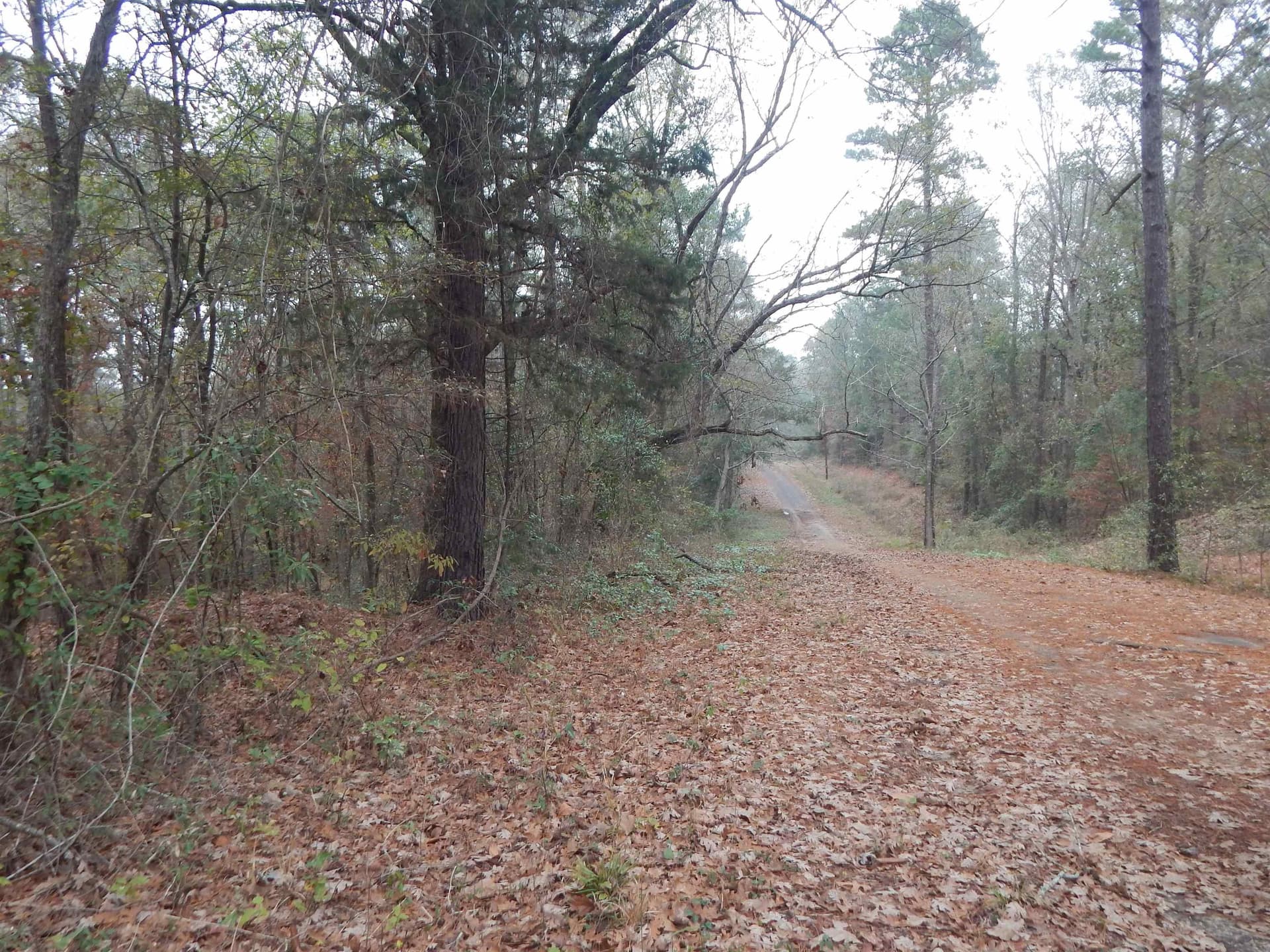 1.29 acres in Upshur County - photo 2