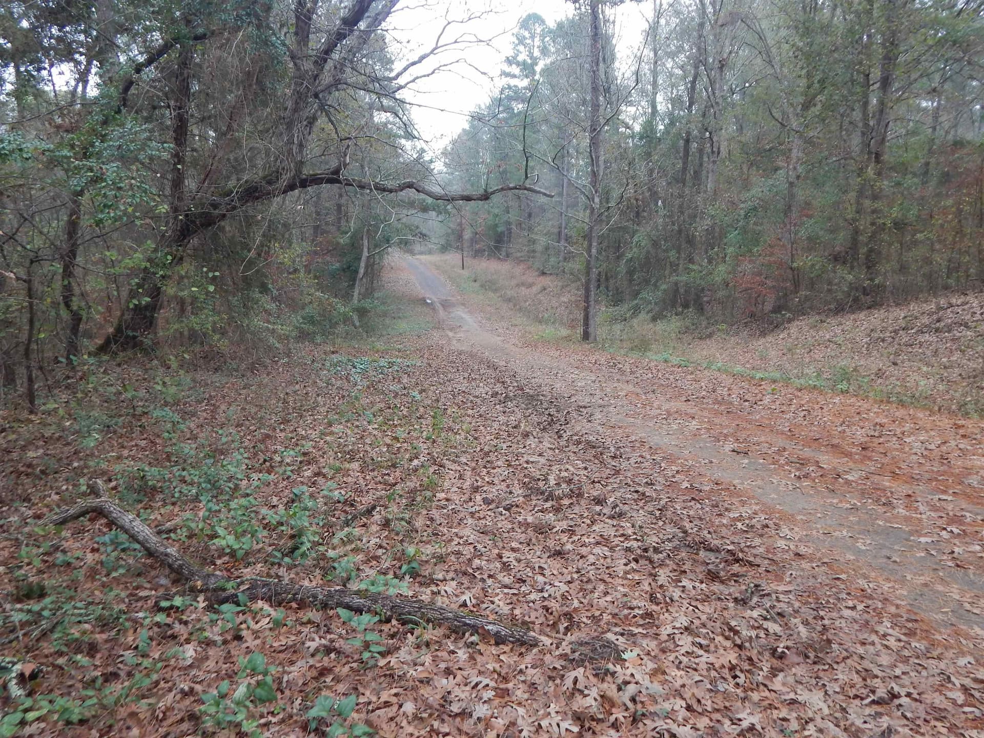 1.29 acres in Upshur County - photo 4