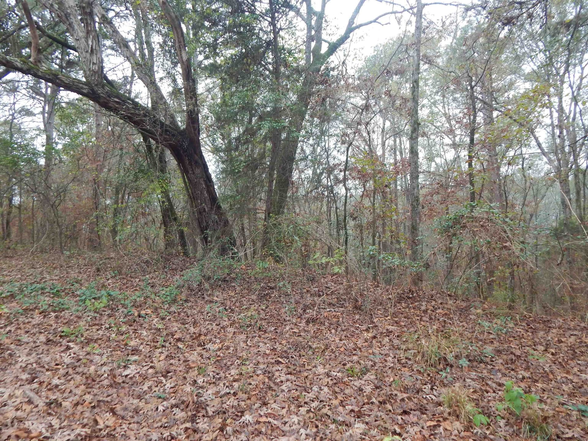 1.29 acres in Upshur County - photo 6