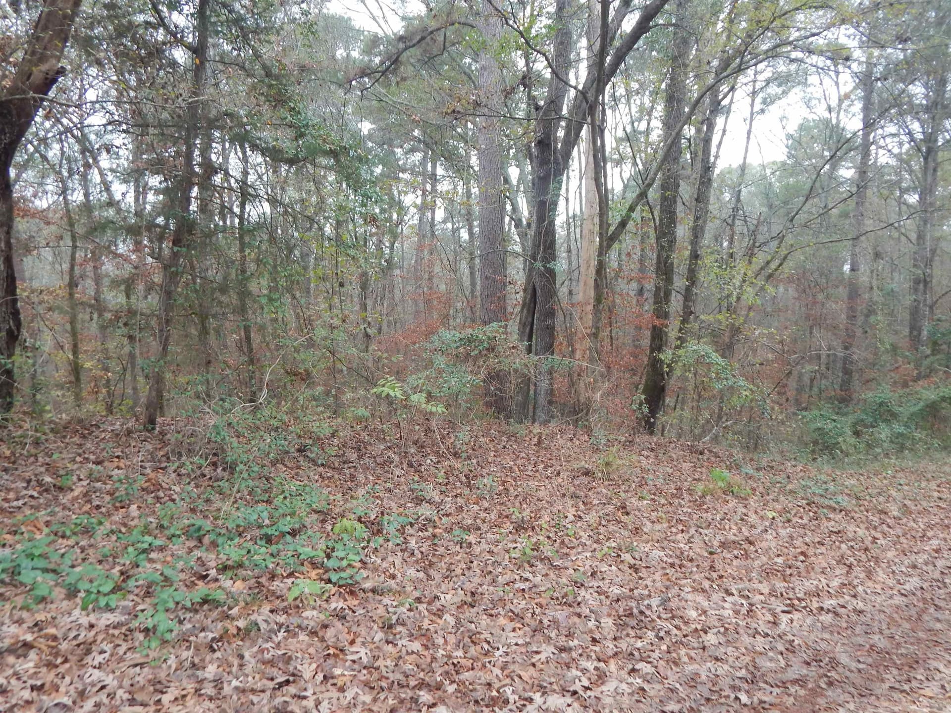 1.29 acres in Upshur County - photo 5