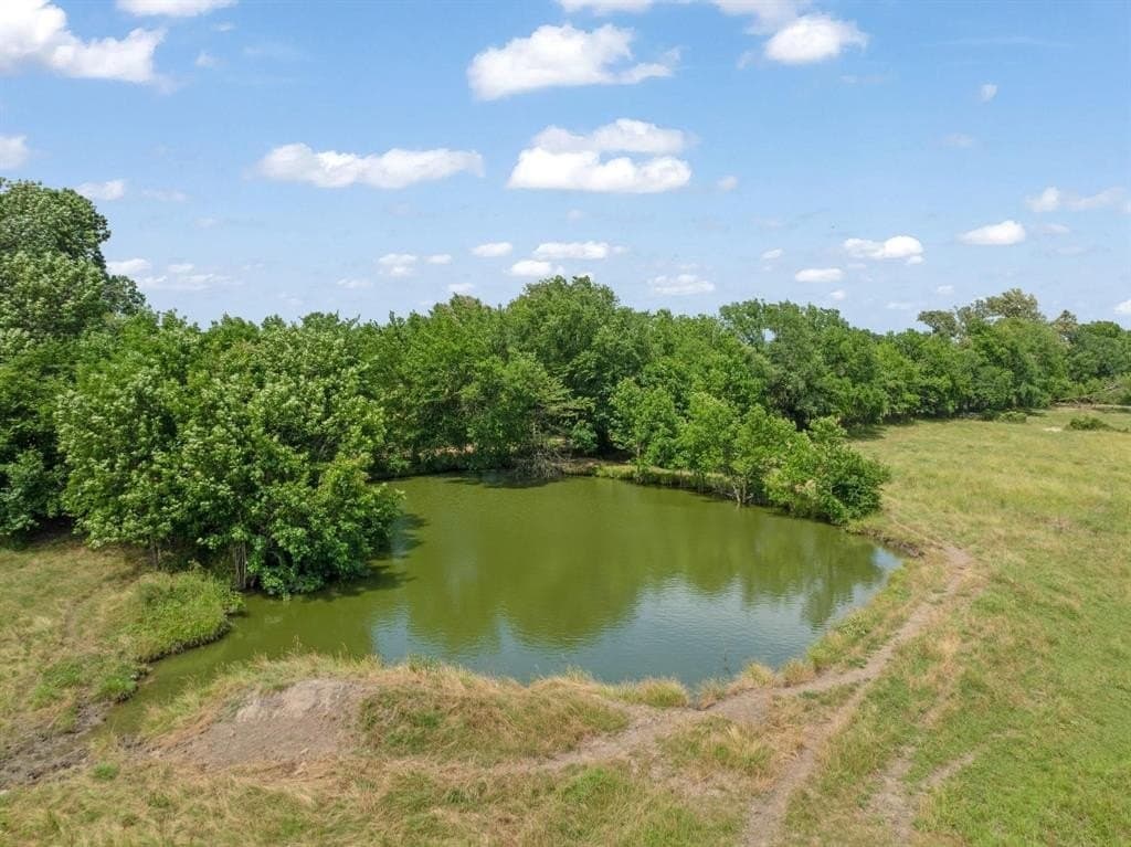 75 acres in Lamar County - photo 6