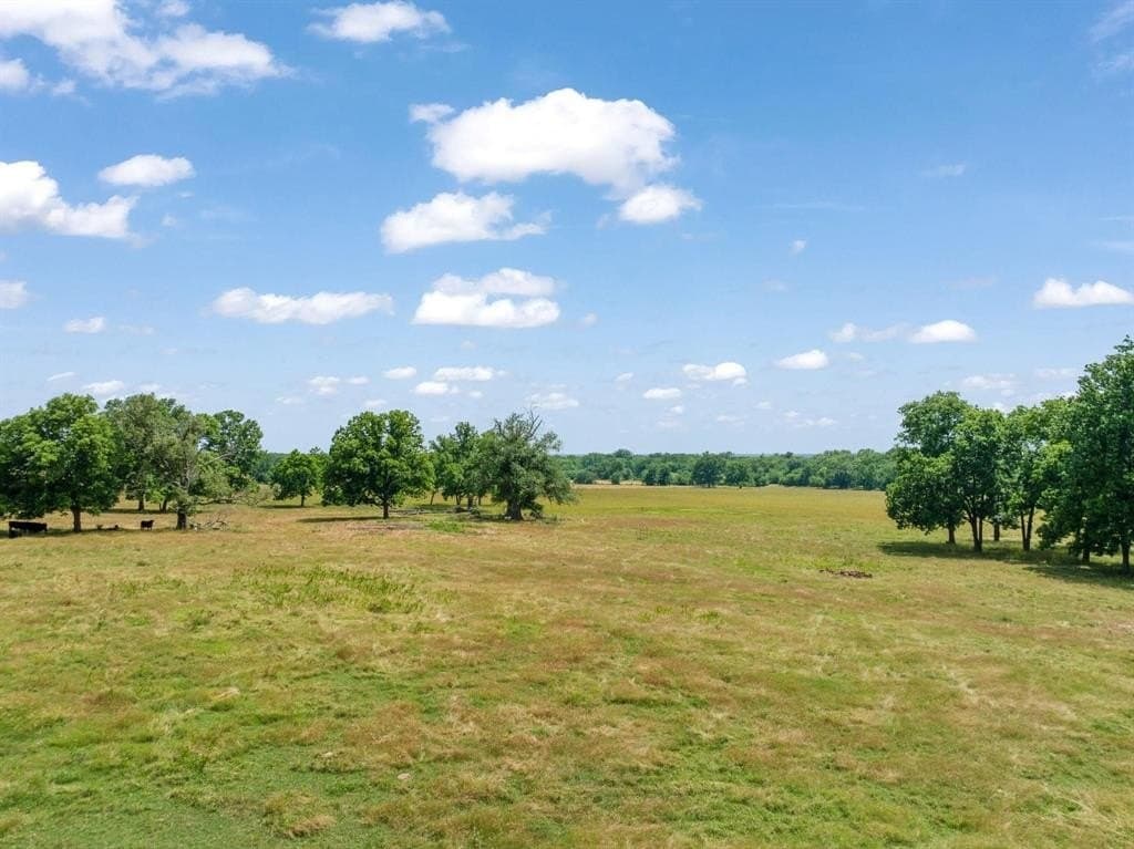 75 acres in Lamar County - photo 7