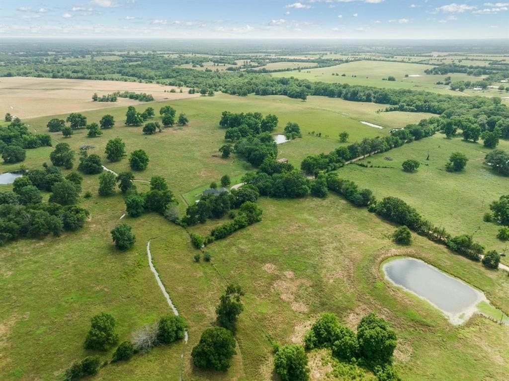 75 acres in Lamar County - photo 5