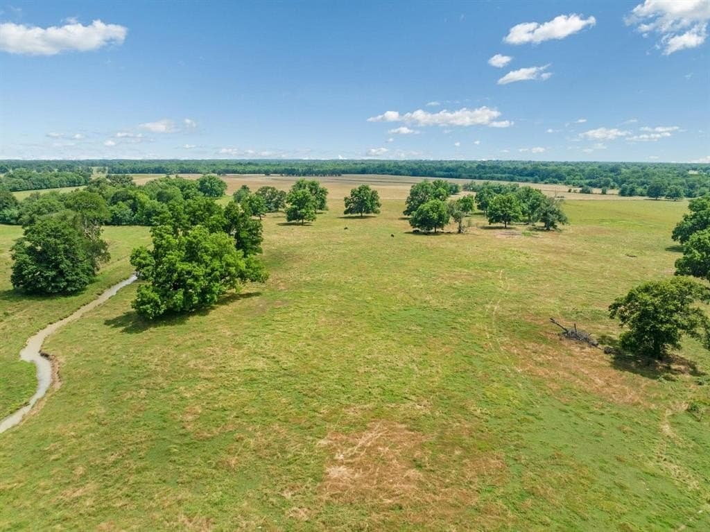 75 acres in Lamar County - photo 3