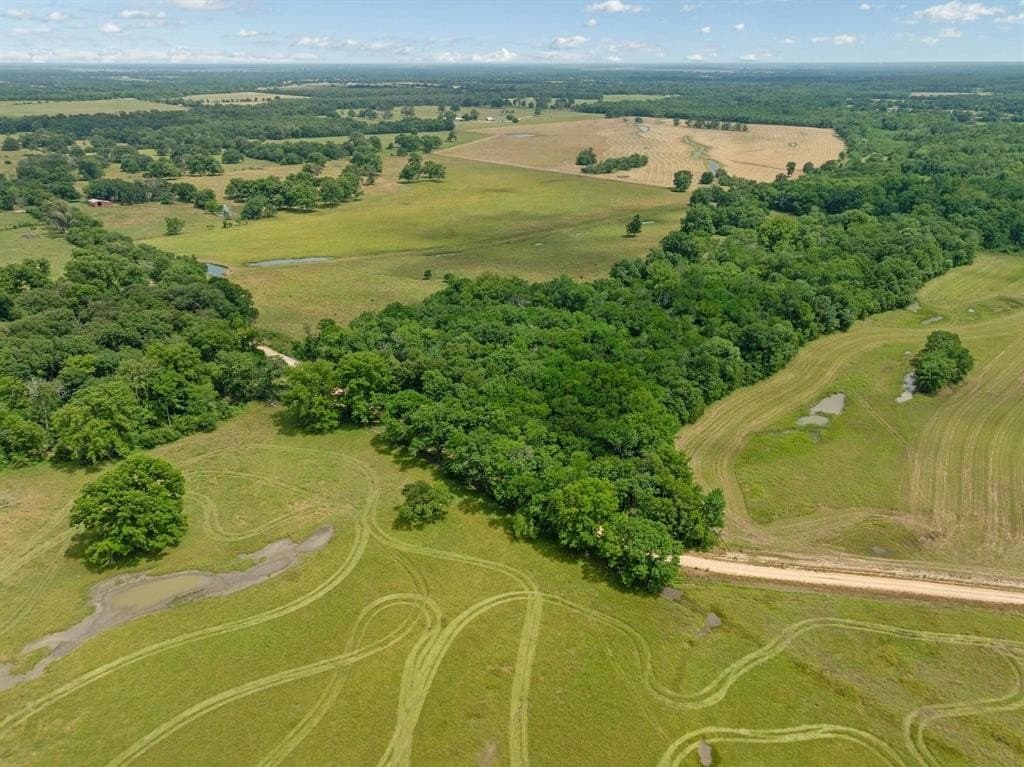 75 acres in Lamar County - photo 4