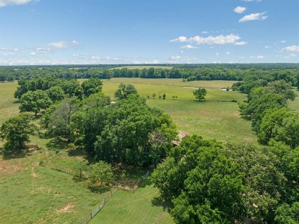 75 acres in Lamar County - photo 2