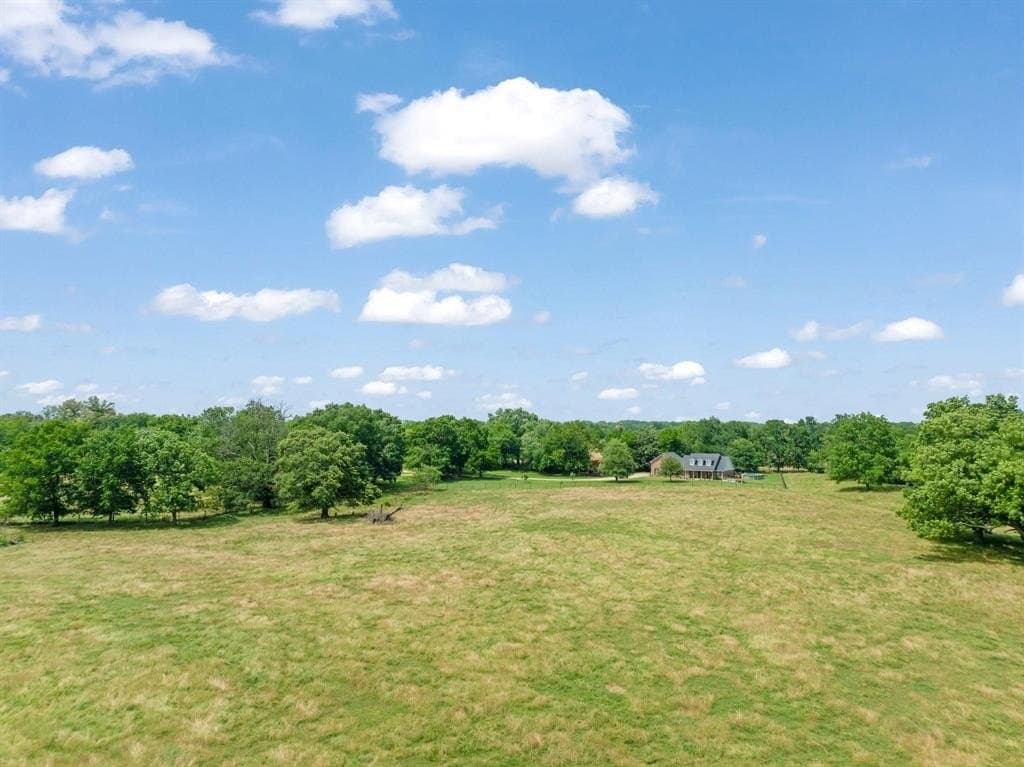 75 acres in Lamar County - photo 9