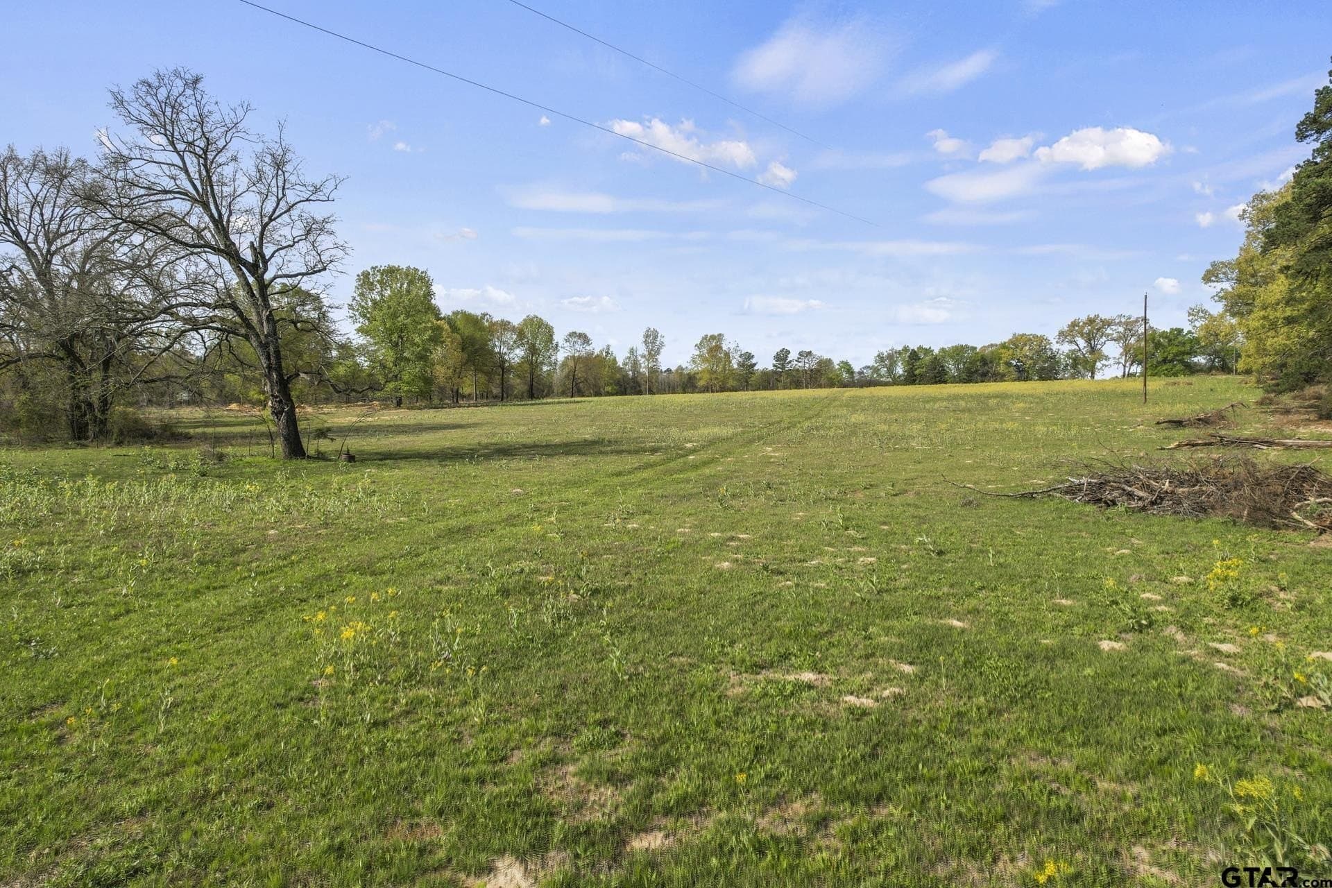 44.47 acres in Titus County - photo 5