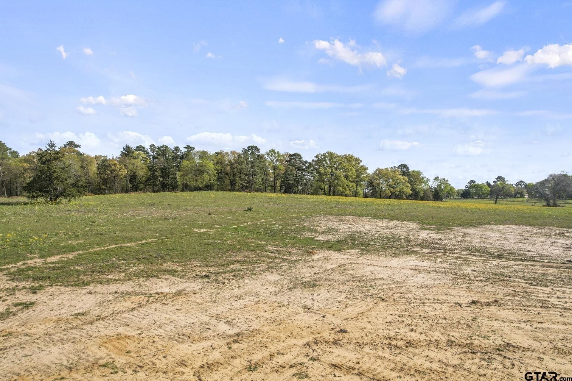 44.47 acres in Titus County - photo 4