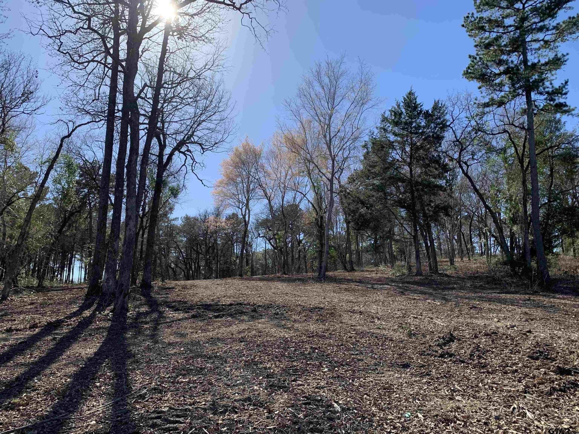 1.35 acres in Henderson County - photo 5