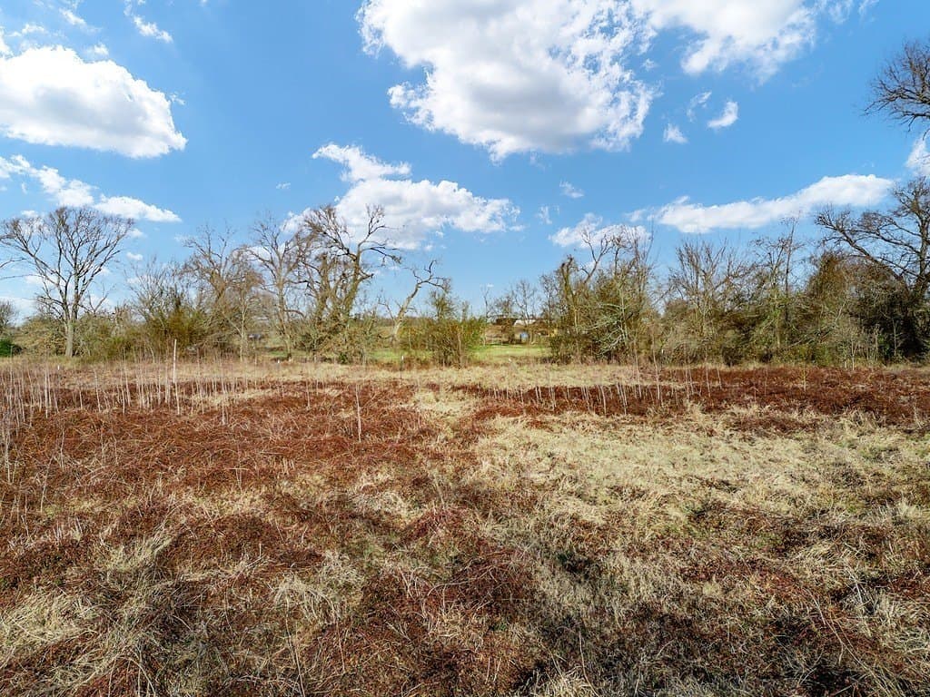 10 acres in Limestone County - photo 17