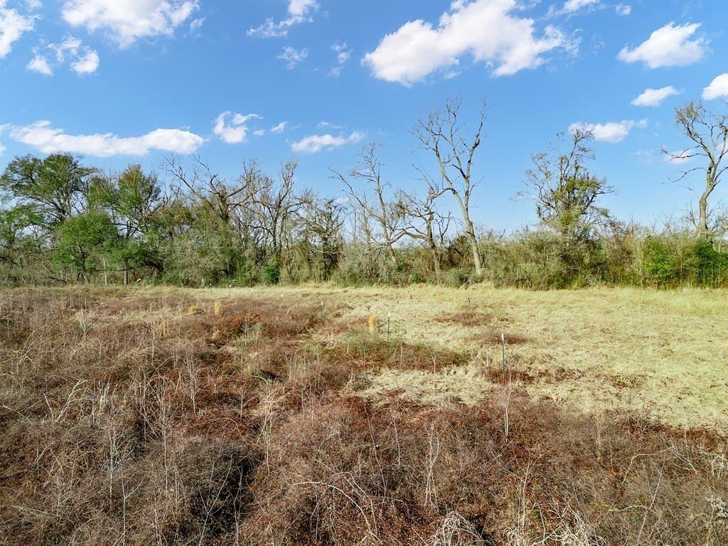 10 acres in Limestone County - photo 18