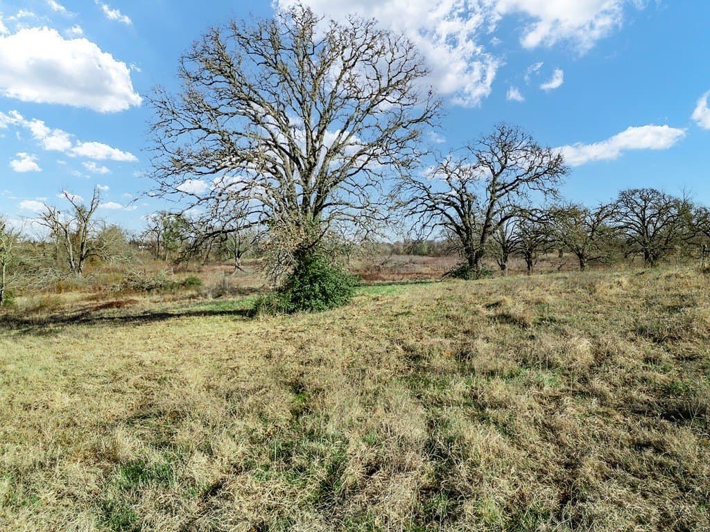 10 acres in Limestone County - photo 11