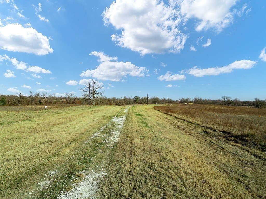 10 acres in Limestone County - photo 3