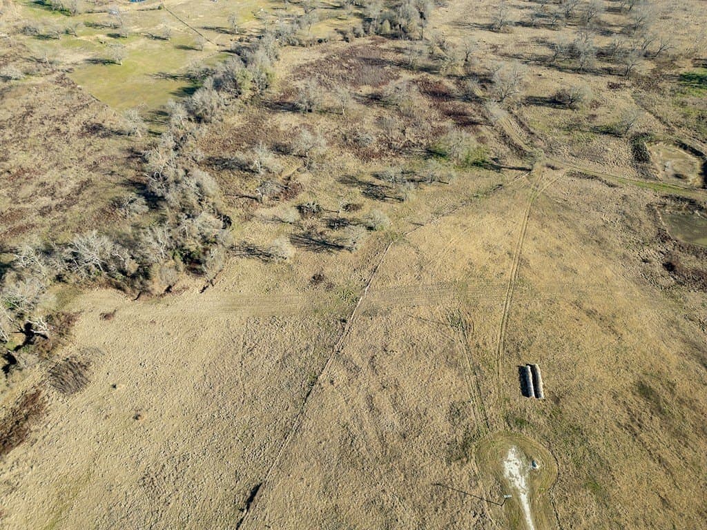 10 acres in Limestone County - photo 4